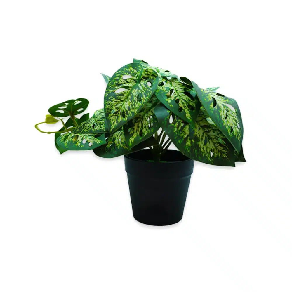 Flores Artificiales Bachia Planta